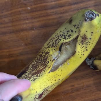 Getir Market'ten Bozuk Ürün Teslimatı Ve Çalışanların Eğitimi Hakkında Şikayet