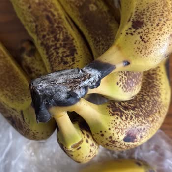 Getir Market'ten Bozuk Ürün Teslimatı Ve Çalışanların Eğitimi Hakkında Şikayet