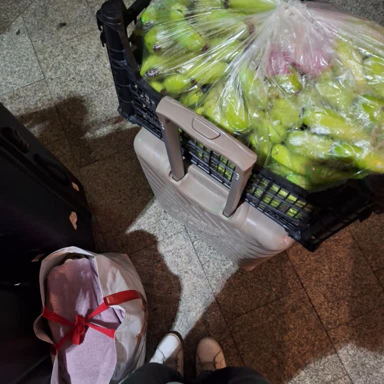 Personel İlgisizliği Ve Yolculuk Sırasında Yaşanan Aksaklıklar Nedeniyle Mağduriyet