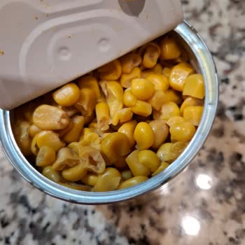 Bozuk Çıkan Mısır Konservesi Hayal Kırıklığı Yarattı