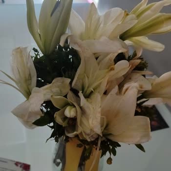 Çiçek Sepeti'nden Solmuş Ve Lekeli Çiçek Teslimatı, Yetersiz Çözüm Ve İade Sorunu