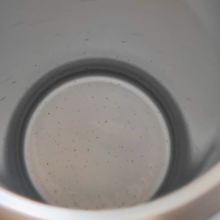 I Face Rusting Problem on Stanley Classic Thermos