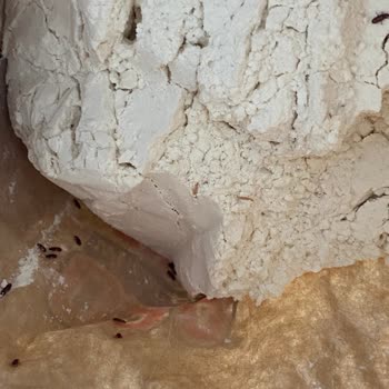 Aldığım Unun İçinden Böcek Çıktı, Mağdur Oldum