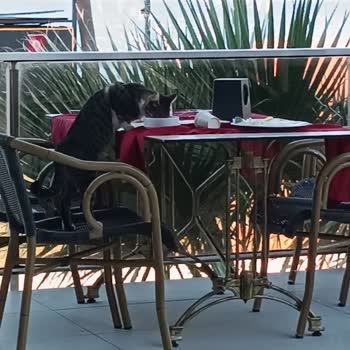 Her Şey Dahil Hayal Kırıklığı: Hijyen Ve Hizmet Sıfır