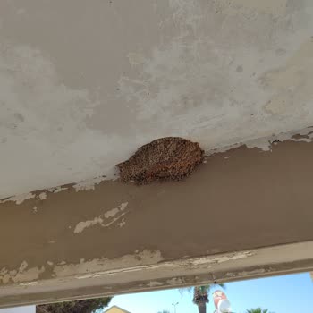 Her Şey Dahil Hayal Kırıklığı: Hijyen Ve Hizmet Sıfır