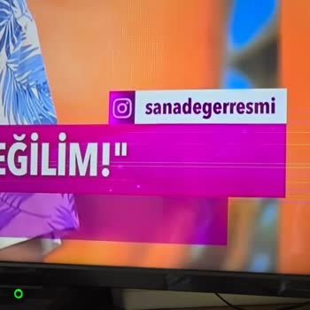 Toshiba TV Panel Hatası