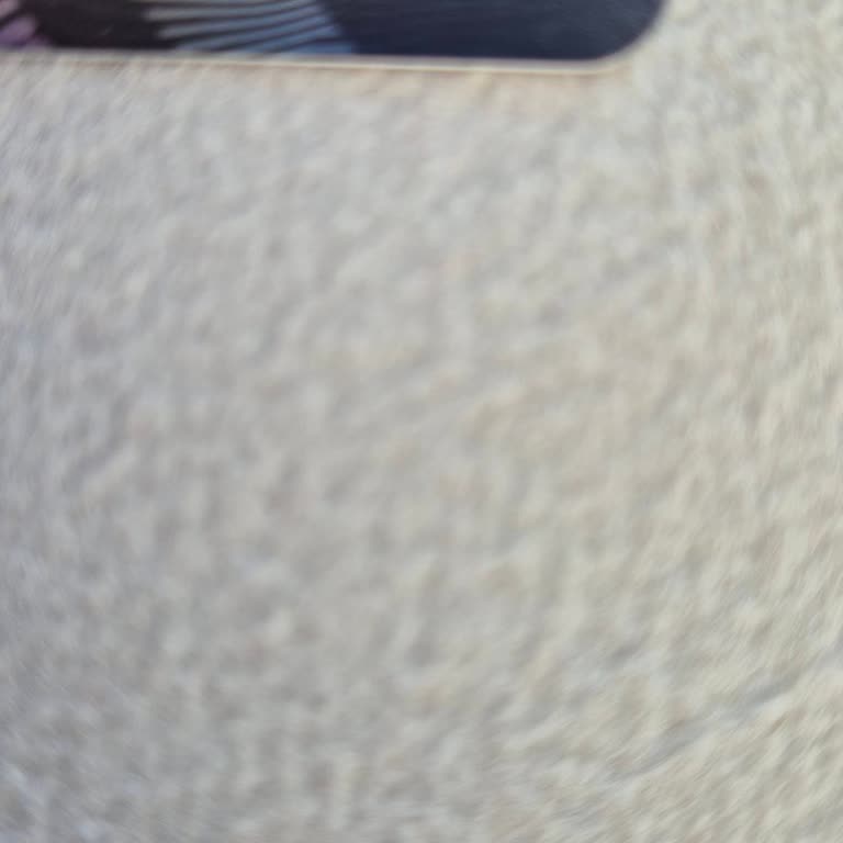 Yanlış Kart Gönderimi Ve Sorunun Çözülememesi