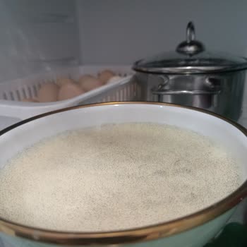 I Face Continuous Cooling Problems and Ignored Replacement Requests With Bosch Refrigerator