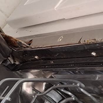 Paslanan Bulaşık Makinesi İçin Garanti Kapsamında Değişim Sorunu