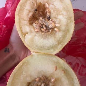 Bozuk Ürün Ve Yetersiz Destek: Kavun Değişimi Talebim Karşılanmadı