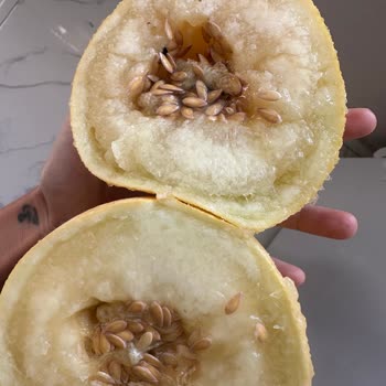 Bozuk Ürün Ve Yetersiz Destek: Kavun Değişimi Talebim Karşılanmadı