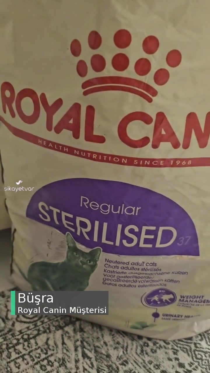 Royal Canin Kedi Maması Şikayeti videonun kapak resmi