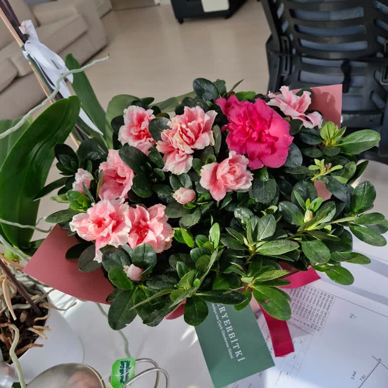 Sipariş Teslimatında Gecikme ve Ürün Farklılığı Hakkında Şikayet