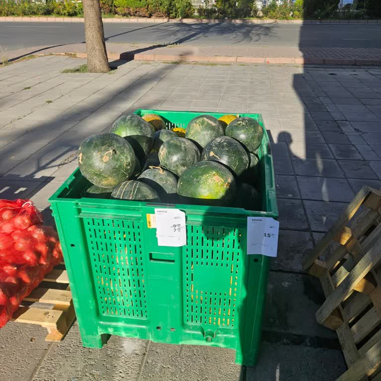 Yanıltıcı Karpuz Fiyat Etiketi Nedeniyle Fazla Ücret Alındı Ve Çözüm Sunulmadı