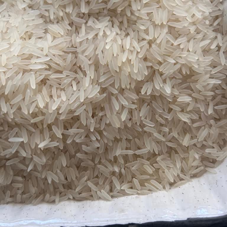 Yayla Baldo Pirinçte Böcek Çıkması Ve Tekrarlayan Sorun