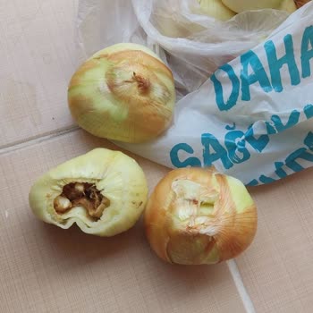 A101 Kapıda Siparişimde Çürük Soğan ve Küçük Patates Mağduriyeti