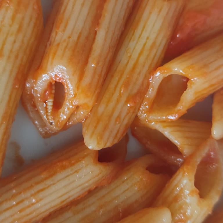 Kapalı Ambalajdaki Makarnadan Kurt Çıktı, Sağlığım Tehlikede