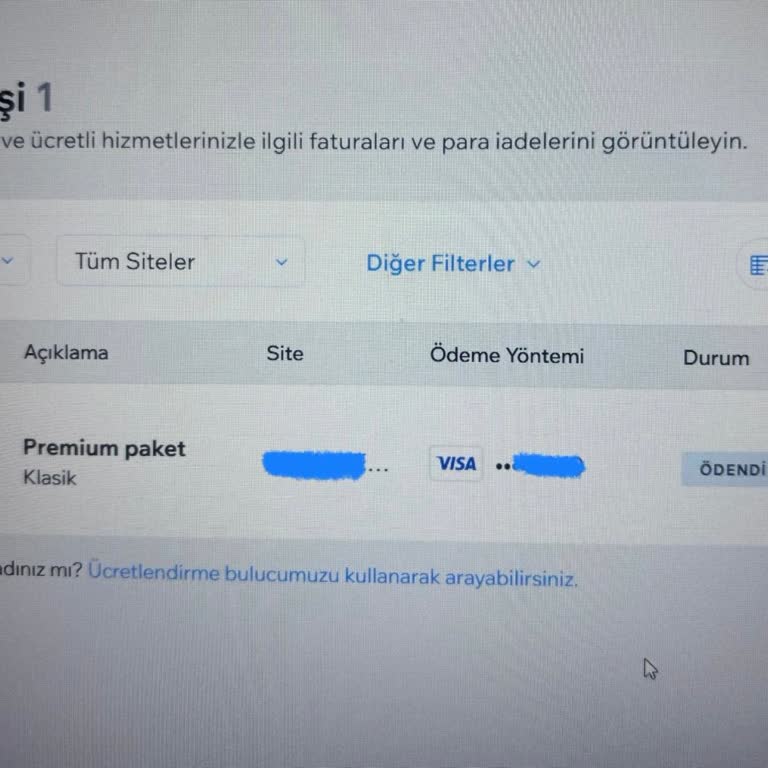 Wix Premium Abonelik Ve Domain İşlemlerinde Yaşanan Sorunlar