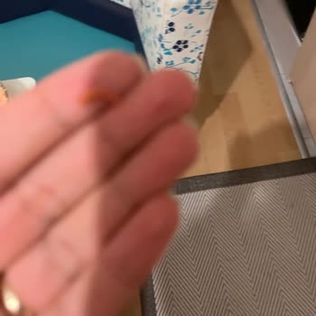 Aldığım Mantının İçinden Tırnak Çıktı Yaşadığım Hijyen Şoku