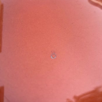 Fiat Egea Cross'ta Boya Soyulması Ve Servis Çözüm Sunmuyor