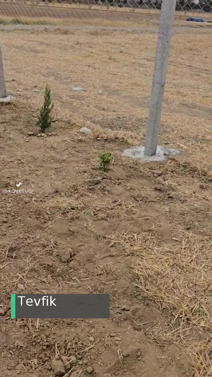 Gül Botanik | İzmir Pazarladıkları Ürün İle Gönderdikleri Ayrı! videonun kapak resmi