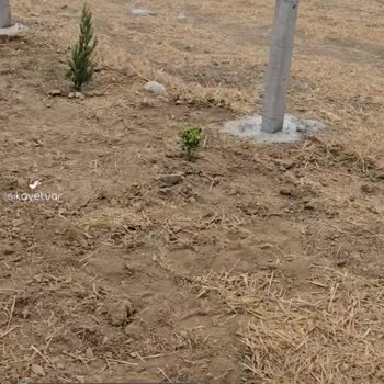 Gül Botanik | İzmir Pazarladıkları Ürün İle Gönderdikleri Ayrı!