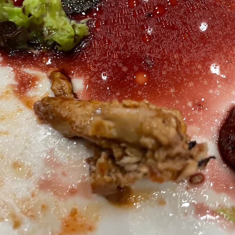 Yemekte Kemik Ve Yağ Parçaları, Personelden İlgisiz Ve Sorumsuz Yaklaşım