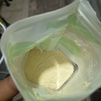 Hepsiburada White Organic İçinde Böcekler