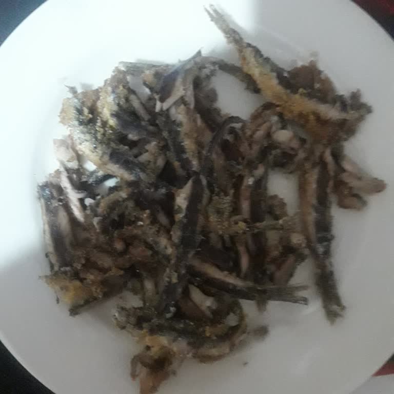 Eksik ve Başsız Balık Satışı Hakkında Şikayet