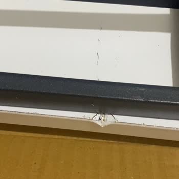 Kargo Geç Teslim Edildi, Ürün Hasarlı Ve Müşteri Hizmetlerine Ulaşılamıyor