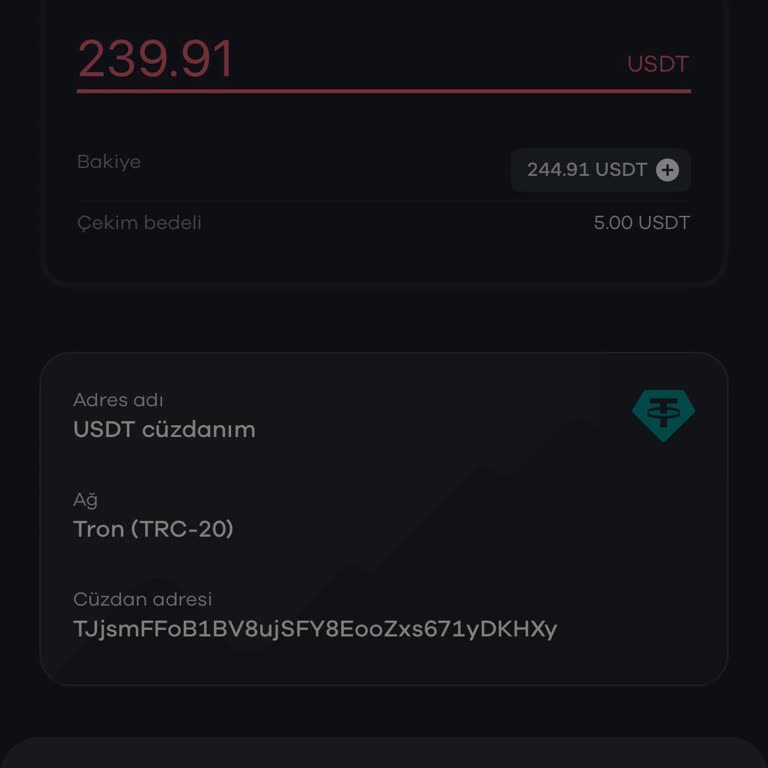 Paribu'da USDT Transferi Hata Veriyor, İşlem Gerçekleşmiyor