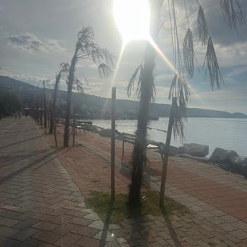 Armutlu Belediyesi Armutlu 'da Çevre Kirliliği Ve Plansız Projeler Yaşamı Tehdit Ediyor