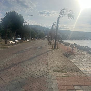 Armutlu Belediyesi Armutlu 'da Çevre Kirliliği Ve Plansız Projeler Yaşamı Tehdit Ediyor