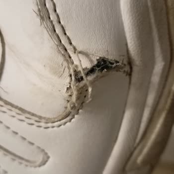 FLO'dan Aldığım Ayakkabı Kısa Sürede Açıldı, Garanti Reddiyle Mağdur Edildim