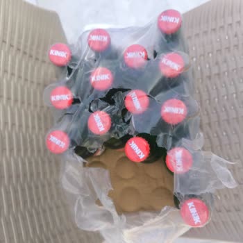 Cam Şişe Maden Suyunda Deterjan Kokusu ve Tat Sorunu Hakkında Şikayet