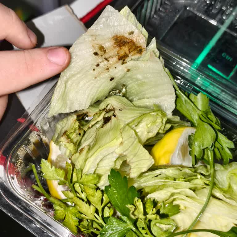 Siparişimde Kurt Çıktı, Hijyen Ve Ücret İadesi Talep Ediyorum