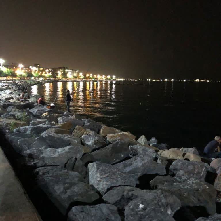 Avcılar Belediyesi Veteriner Hizmetleri'nden Yetersiz Destek Ve İlgisizlik