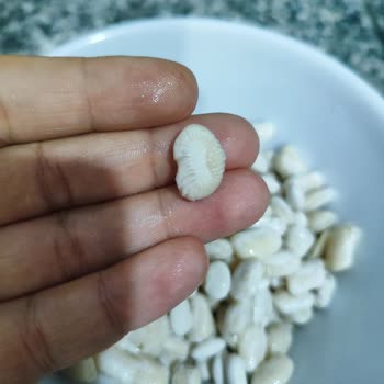 Duru Kuru Fasulyede Bekletince Büzülme Ve Şekil Bozukluğu Sorunu Yaşadım