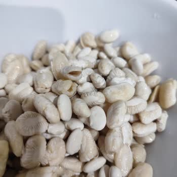 Duru Kuru Fasulyede Bekletince Büzülme Ve Şekil Bozukluğu Sorunu Yaşadım