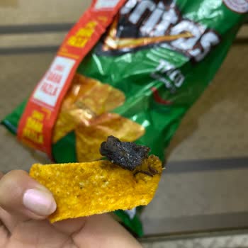 Doritos Taco Paketinde Büyük Ve Belirsiz Cisimle Karşılaştım, Hijyen Endişesi Yaşadım