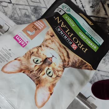 Küflü Kedi Maması Nedeniyle Güven Kaybı Ve Mağduriyet