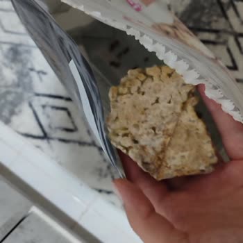 Küflü Kedi Maması Nedeniyle Güven Kaybı Ve Mağduriyet