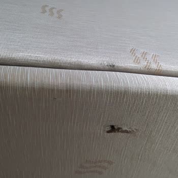 İstikbal Milas Mağazasında Teslimat Ve Ürün Kalitesi Sorunu