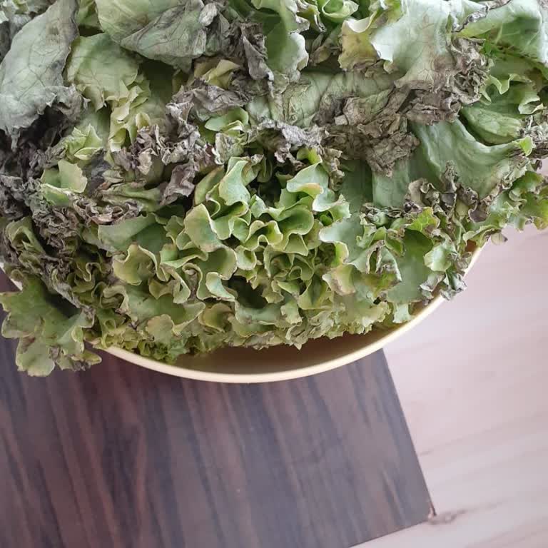 Ameliyat Tarihi Belirsizliği Ve Bilgi Eksikliği
