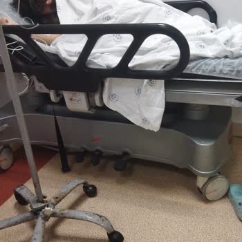 Çocuk Acil Serviste Süregelen Sinek Ve Klima Sorunları Sağlığımızı Tehdit Ediyor