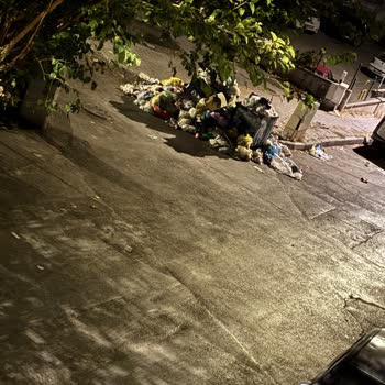 Buca’da Çöpler Düzenli Toplanmıyor, Kötü Koku Ve Sağlık Riski Artıyor