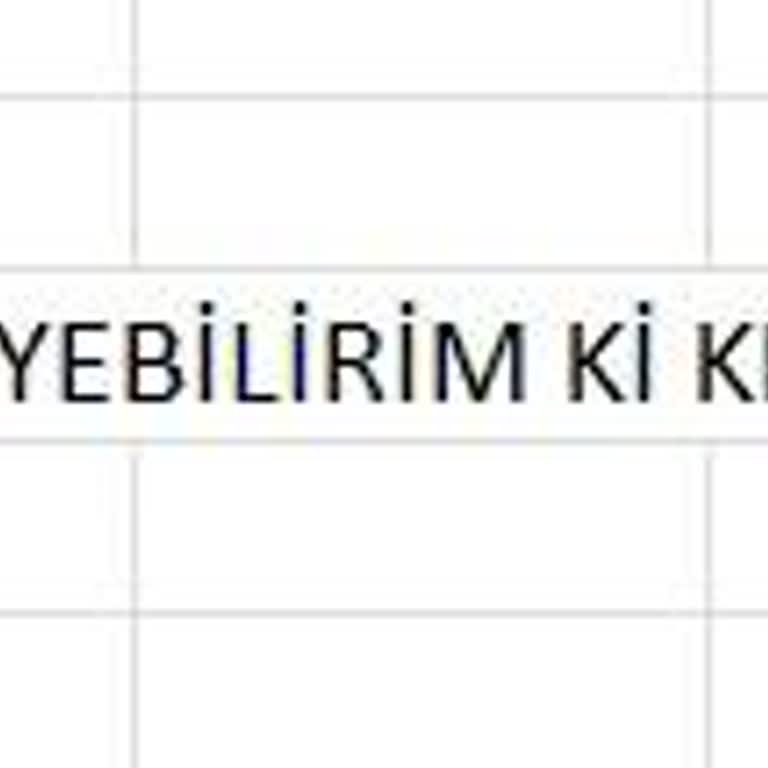 Yeni Çıkan Coinlerde Yaşanan Kayıplar Ve Destek Ekibinin Yetersizliği