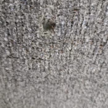 Teslim Edilen Berjerde Hasar Var, 3 Ay Geçmesine Rağmen Değişim Yapılmadı