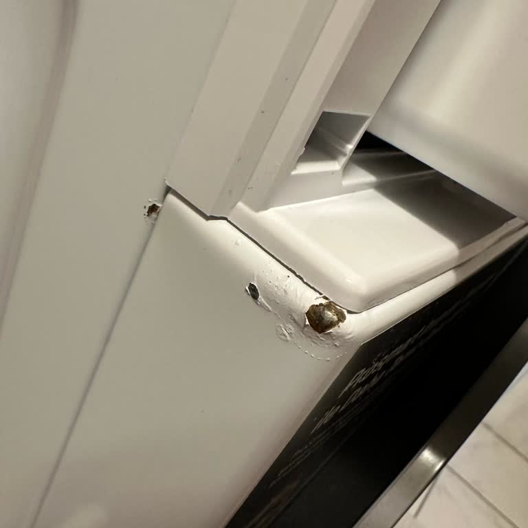 Yeni Alınan Çamaşır Makinesinde Kısa Sürede Paslanma Ve Değişim Talebi