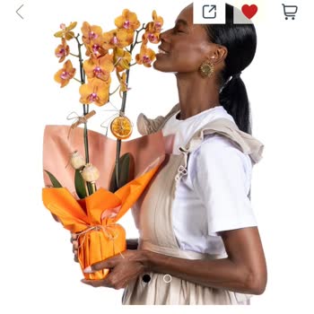 Sipariş Edilen Orkide Görseldekiyle Uyuşmuyor, Çözüm Bekliyorum